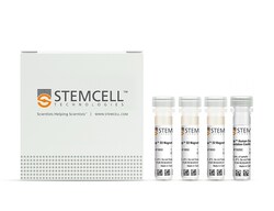 STEMCELL Technologies EasySep Human Gamma/Delta T Cell Isolation Kit, For