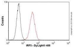 Abcam Mouse monoclonal [10T1] to IRF5, Quantity: Each of 1
