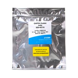 LI COR BIOTECH LLC NewBlot IR Stripping Buffers for NIR Western Blots (100
