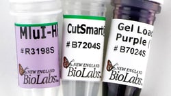 New England Biolabs, Inc. MluI-HF – 5000 units, Quantity: Each of 1