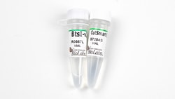 New England Biolabs, Inc.&nbsp;BtsI-v2 – 500 units