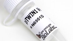 New England Biolabs, Inc. pTWIN1 Vector DNA – 10 µg, Quantity: Each of