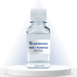 SCANTIBODIES LABORATORY INC HBR 1, PURIFIED (3KC533) 1.0G, Quantity: Each
