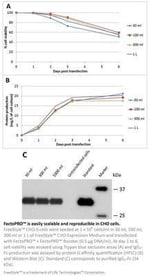 Andwin Scientific FectoPRO DNA Transfection Kit