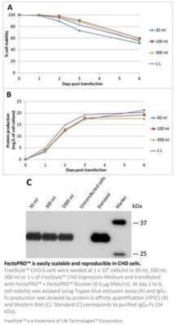 Andwin Scientific FectoPRO DNA Transfection Kit, Quantity: Each of 1