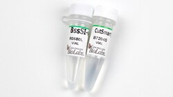 New England Biolabs, Inc.&nbsp;BssSI-v2 – 200 units