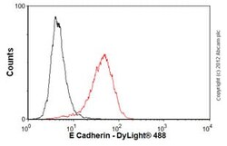 Abcam Mouse monoclonal [M168] to E Cadherin - C-terminal, Quantity: Each
