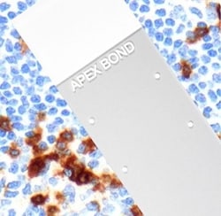 Leica Biosystems 0LIDE BOND ADHESIVE 1440/CS, Quantity: Case of 1440