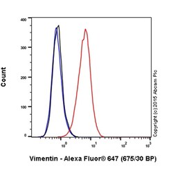 Abcam Alexa Fluor 647 Mouse monoclonal [V9] to Vimentin - Cytoskeleton