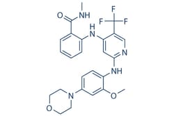 Selleck Chemical LLC PND-1186 (VS-4718) 5mg 1061353-68-1 SR-2156, Quantity: