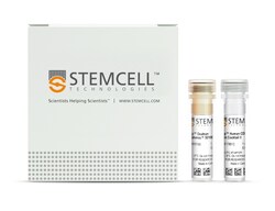 STEMCELL Technologies EasySep Human CD3 Positive Selection Kit II, For