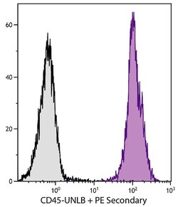 Abcam Rat monoclonal [I3/2.3] to CD45, Quantity: Each of 1