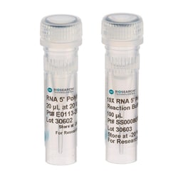 BIOSEARCH TECHNOLOGIES INC (Lucigen) RNA 5' Polyphosphatase, 200U @ 20