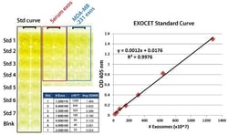 System Biosciences LLC&nbsp;EXOCET EXOSOME QUANT KIT = 9 Reactions