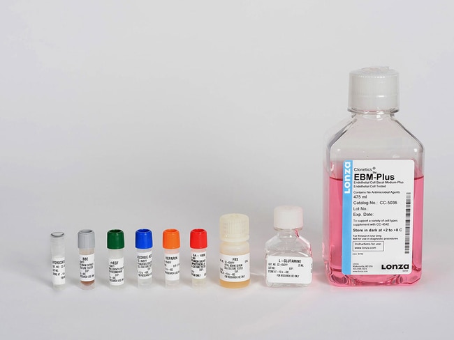 mass of fermenting dregs CD2セット mass of fermenting dregs CD2セット