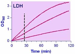 Bioassay Systems QuantiChrom Lactate Dehydrogenase Kit. For quantitative