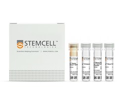 STEMCELL Technologies EasySep Mouse CD25 Regulatory T Cell Positive Selection