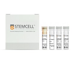 STEMCELL Technologies EasySep Mouse CD4 Positive Selection Kit II, For