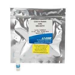 LICOR IRDye 680RD Donkey anti-Goat IgG Secondary Antibody (0.1 mg), Quantity: