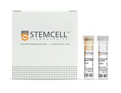 STEMCELL Technologies EasySep Mouse NK Cell Isolation Kit, For processing: