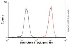 Abcam Mouse monoclonal [6C6] to MHC Class II, Quantity: Each of 1