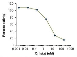 Abcam&nbsp;Lipoprotein Lipase Assay Kit (Fluorometric)