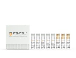 STEMCELL Technologies EasySep Human CD4+CD127lowCD25+ Regulatory T Cell