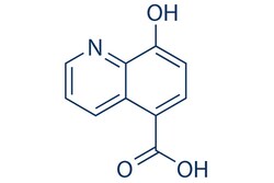 Selleck Chemical LLC IOX1 10mg 5852-78-8, Quantity: Each of 1