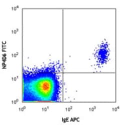 Biolegend FITC anti-human CD203c (E-NPP3), Quantity: Each of 1