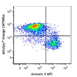 Biolegend MitoSpy Orange CMTMRos, Quantity: Each of 1