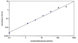 Abcam Acetylcholinesterase Assay Kit (Colorimetric), Quantity: Each of