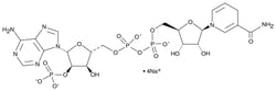 Cayman Chemical NADPH (sodium salt), 2646-71-1, 50 mg, Quantity: Each of