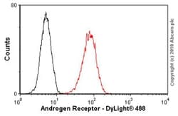 Abcam Mouse monoclonal [AR 441] to Androgen Receptor, Quantity: Each of