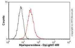 Abcam Mouse monoclonal [2C7] to Myeloperoxidase, Quantity: Each of 1