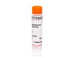 STEMCELL Technologies Human Cord Blood CD34+ Cells, Frozen, Size: 1 x 10^6