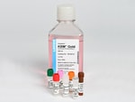 Lonza Walkersville KGM Gold Keratinocyte Growth Medium
