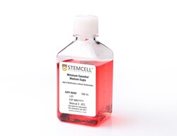 STEMCELL Technologies Alpha MEM without Nucleosides, Size: 500 mL, Quantity: