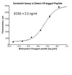 Abcam PE Rabbit polyclonal to V5 tag, Quantity: Each of 1