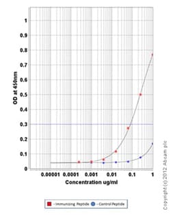 Abcam Rabbit polyclonal to Adipose Triglyceride Lipase (phospho S406),
