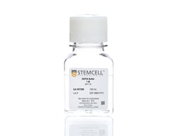 STEMCELL Technologies HEPES Buffer Solution (1 M), Size: 100 mL, Quantity: