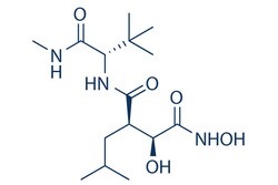 Selleck Chemical LLC&nbsp;Marimastat (BB-2516) 5mg 154039-60-8