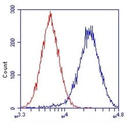Abcam Mouse monoclonal [6E1BH7] to GRIM19, Quantity: Each of 1