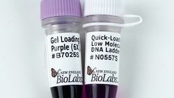 New England Biolabs, Inc. Quick-Load Purple Low Molecular Weight DNA Ladder – 1.25 ml