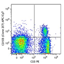 Biolegend APC/Cyanine7 anti-mouse CD103, Quantity: Each of 1