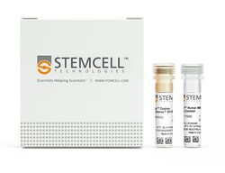 STEMCELL Technologies EasySep Human NK Cell Isolation Kit, For processing: