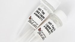New England Biolabs, Inc. HiFi Taq DNA Ligase – 50 reactions, Quantity: