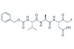 Selleck Chemical LLC Z-VAD(OH)-FMK (Caspase Inhibitor VI) 1mg 161401-82-7,