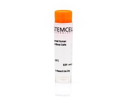 STEMCELL Technologies Human Peripheral Blood Mononuclear Cells, Frozen,