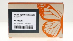 New England Biolabs, Inc. EnGen sgRNA Synthesis Kit, S. pyogenes – 20 reactions,