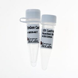 New England Biolabs, Inc. EnGen Cas9 NLS, S. pyogenes – 400 pmol, Quantity: